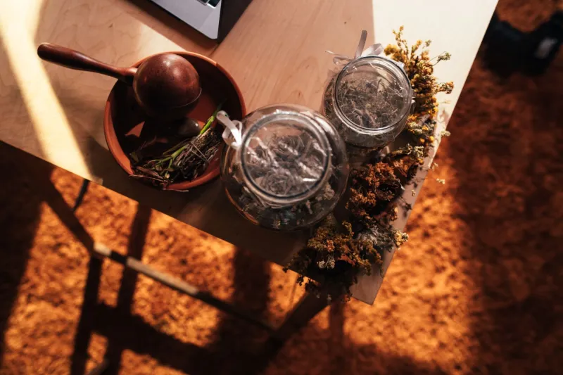 Nature vs. Lab: What the Research Actually Says About Georgia Botanicals and Anxiety Relief