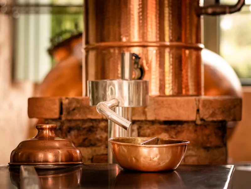 Follow Your Nose: Georgia's Essential Oil Farms and Botanical Distilleries Are Becoming the South's Best-Kept Travel Secret