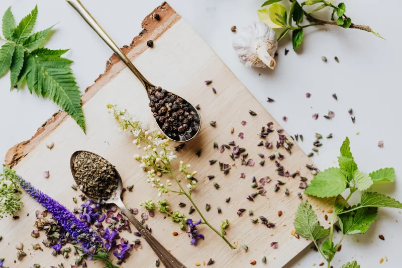From Field to Flavor: The Georgia Farmers Bringing Heirloom Herbs Back to Your Kitchen