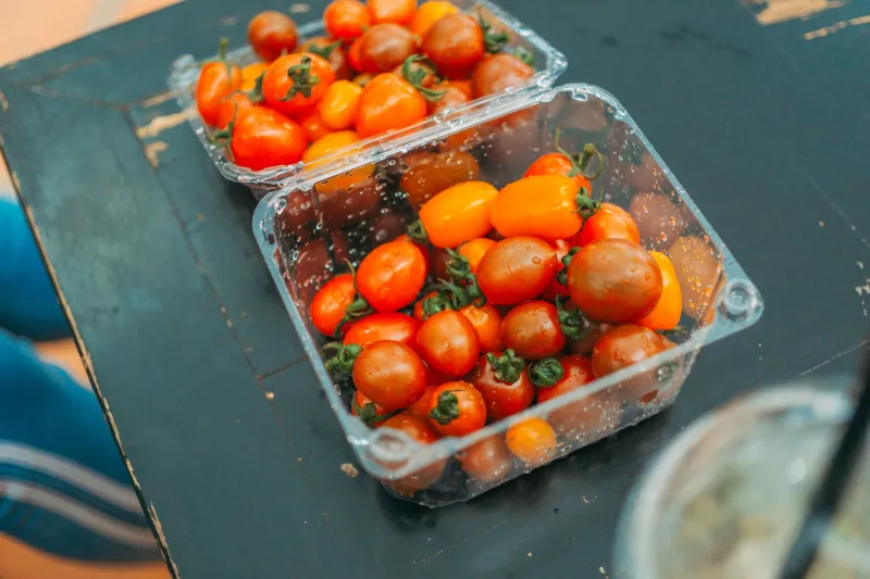 One Bite Back: How Georgia's Heirloom Flavors Unlock Memories That Imported Food Never Could